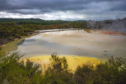 New Zealand 2025 (1 group) (60/66)